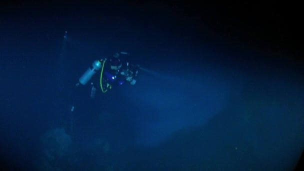 Yucatán México cenotes bajo el agua . — Vídeos de Stock