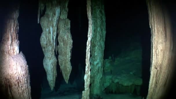 Cenote dello Yucatan grotte sottomarine . — Video Stock