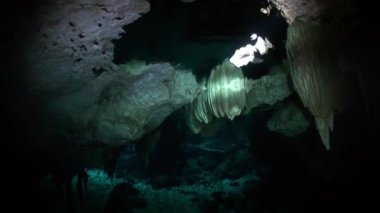 Scuba diving Meksika'daki Yucatan cenotes sualtı mağaraları.