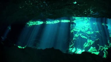Scuba diving Yucatan cenotes sualtı mağaraları.