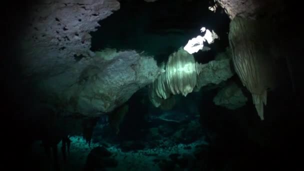 Potápění v jeskyních Yucatan cenotes pod vodou v Mexiku. — Stock video
