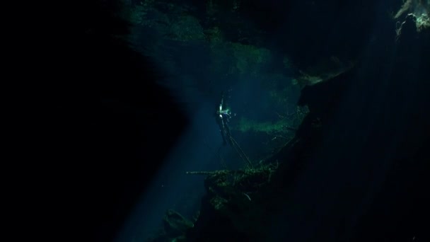 Meksyk Jukatan cenotes pod wodą. — Wideo stockowe