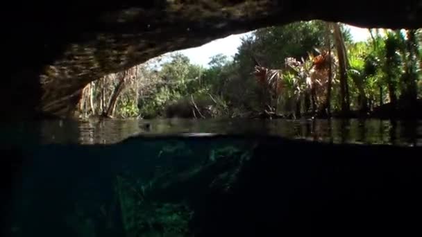 Yucatan Mexico cenotes. — Stock video