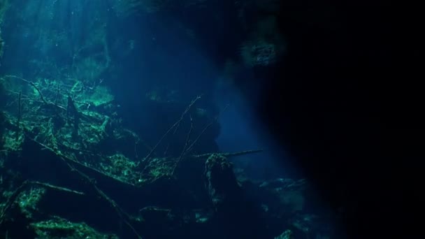 Yucatan Mexikó cenoték víz alatti. — Stock videók