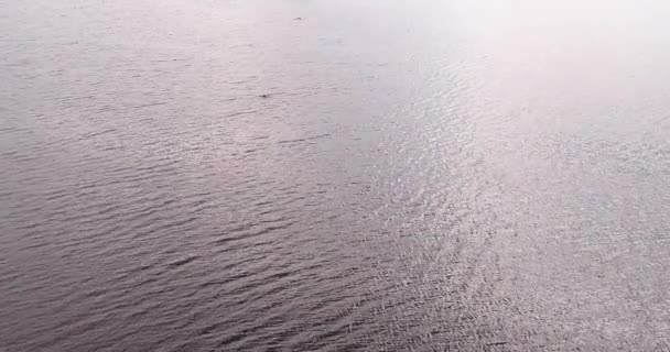 Mann schwimmt in Fluss Wolga Luftbild Quadrocopter. — Stockvideo