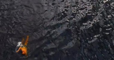 Adam nehir Volga havadan görünümü quadcopter içinde yüzüyor.