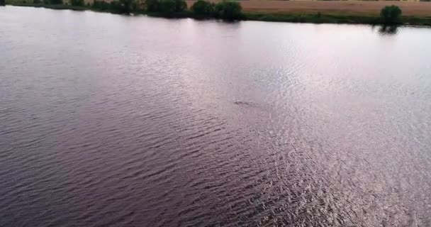 Mann schwimmt in Fluss Wolga Luftbild Quadrocopter. — Stockvideo