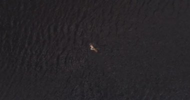 Adam geniş nehir Volga uzak shore havadan görünümü quadcopter yüzüyor.