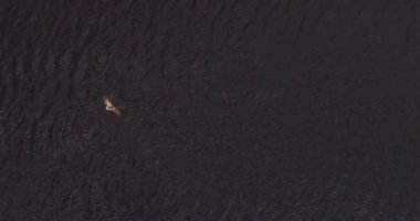 Adam geniş nehir Volga uzak shore havadan görünümü quadcopter yüzüyor.