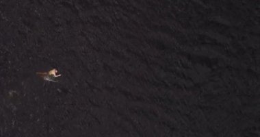 Adam geniş nehir Volga uzak shore havadan görünümü quadcopter yüzüyor.