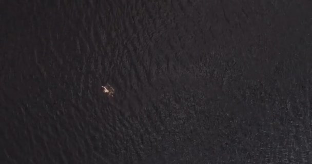 L'homme nage dans le large fleuve Volga loin de la côte vue aérienne quadcopter .