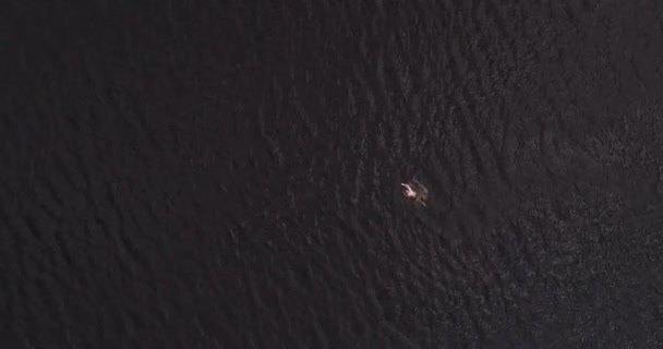Man simmar i breda floden Volga långt från stranden Flygfoto quadcopter. — Stockvideo