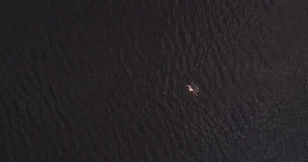 L'homme nage dans le large fleuve Volga loin de la côte vue aérienne quadcopter .