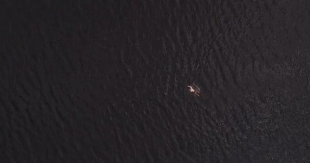 El hombre está nadando en el ancho río Volga lejos de la costa vista aérea quadcopter . — Vídeo de stock