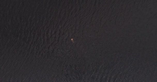 L'homme nage dans le large fleuve Volga loin de la côte vue aérienne quadcopter .