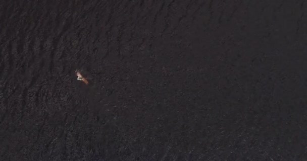 L'homme nage dans le large fleuve Volga loin de la côte vue aérienne quadcopter .