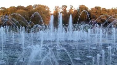 İnsanların yaz aylarında pınarlarına Moskova Parkı.
