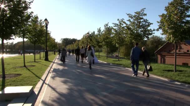 La gente cruza el puente en el parque en verano . — Vídeos de Stock