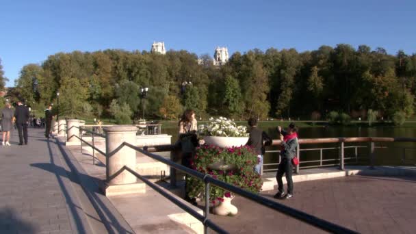 As pessoas atravessam a ponte no parque no verão . — Vídeo de Stock