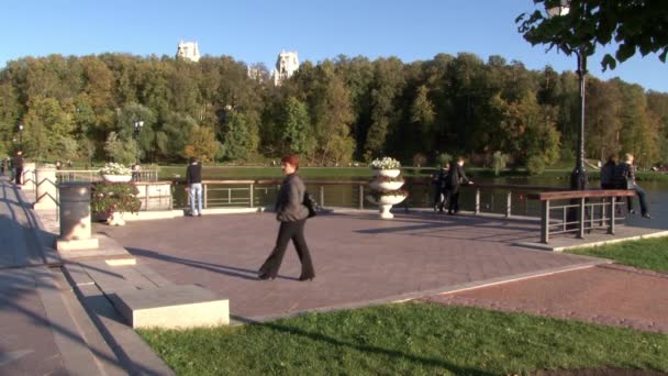 Människor går över bron i park i sommar. — Stockvideo