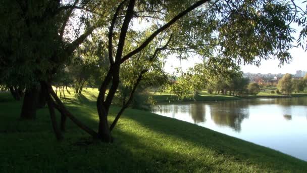 Människor vandrar i en park nära floden i sommar i Moskva. — Stockvideo