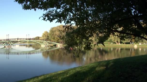 Летом в Москве люди гуляют в парке у реки . — стоковое видео