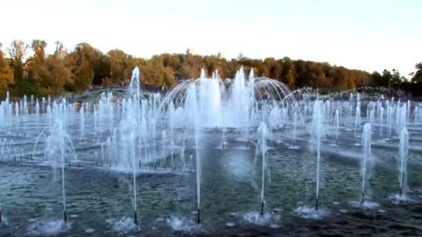 Les gens dans le parc près des fontaines en été à Moscou . — Video