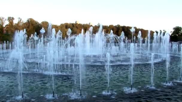 Люди в парке возле фонтанов летом в Москве . — стоковое видео