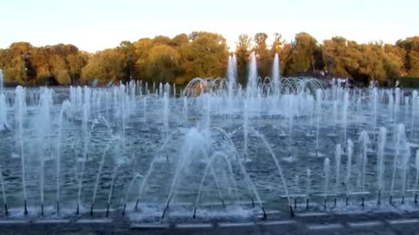 莫斯科夏季喷泉附近公园的人们. — 图库视频影像