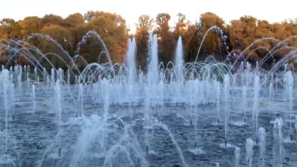 Lidé v parku u fontány v létě v Moskvě. — Stock video