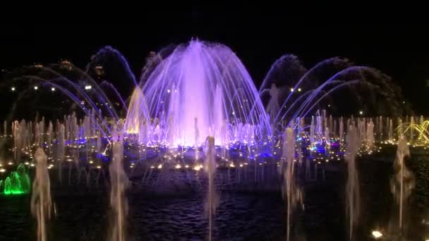 Agua colorida brillante en fuentes danzantes de colores ultravioleta en la noche . — Vídeos de Stock