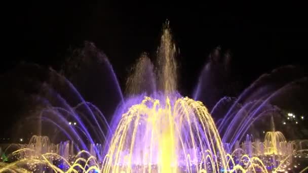 Bright colorful water in dancing fountains of ultraviolet colors at night. — Stock Video