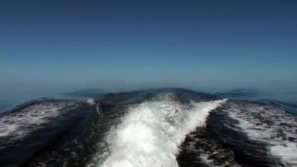 Havet vågor från fartyg på vattenytan i havet. — Stockvideo