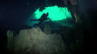 Yucatan Meksika cenotes sualtı.