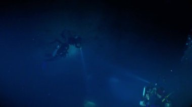 Yucatan Meksika cenotes sualtı.