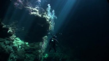 Meksika Cenotes Yucatan sualtı.