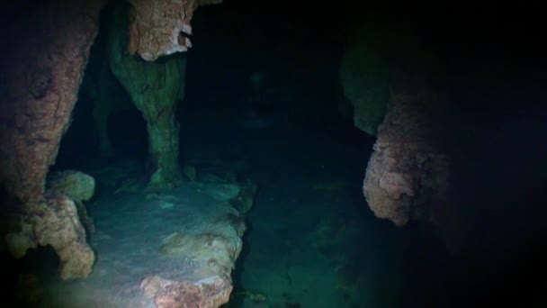 스쿠버 다이빙 수 중 유카탄 멕시코 cenotes의 동굴에. — 비디오