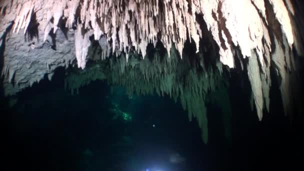 Cenotes Yucatan pod vodou v Mexiku. — Stock video