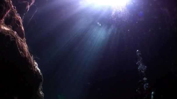 Печери Юкатан Сенотес під водою в Мексиці. — стокове відео