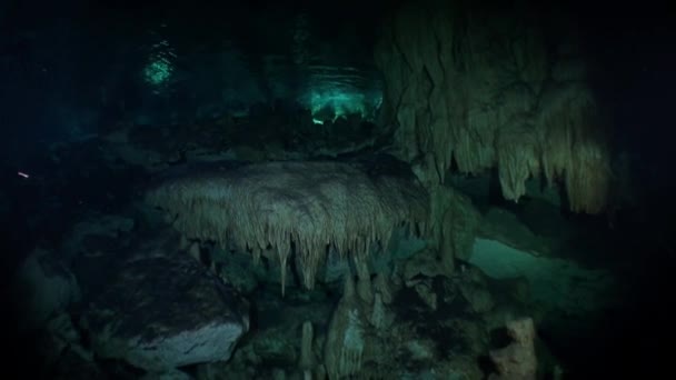 Rocas y piedras de los cenotes de Yucatán bajo el agua en México . — Vídeos de Stock