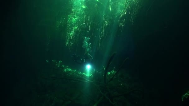 Swimming with flashlight in dark caves of Yucatan cenotes underwater in Mexico. — Stock Video