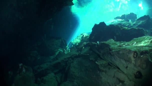 Meksyk Jukatan cenotes pod wodą. — Wideo stockowe