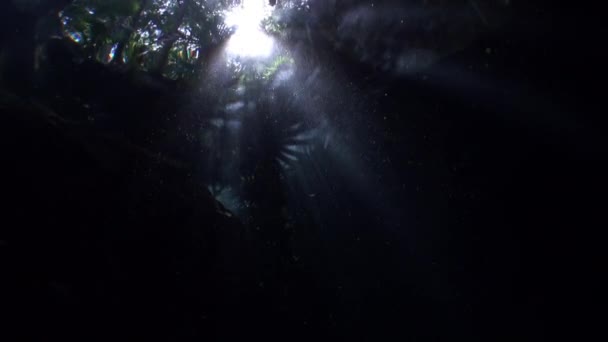 Mexiko Yucatán cenotes pod vodou. — Stock video