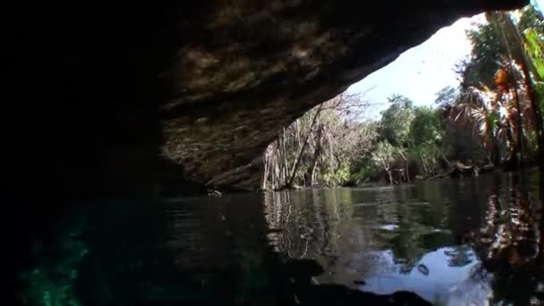 Yucatan Mexico cenotes. — Stock Video