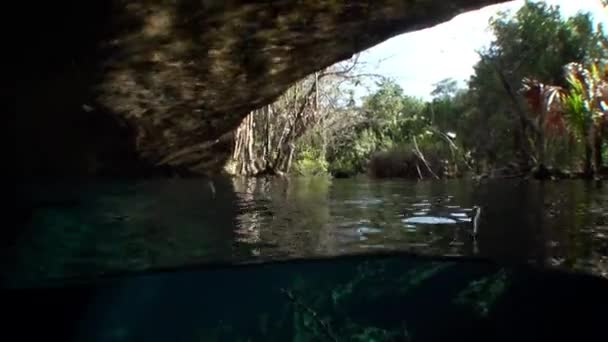 Yucatan Mexico cenotes. — ストック動画