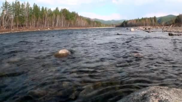 Gebirgsfluss Temnik an der Grenze des staatlichen Naturbiosphärenreservats Baikal. — Stockvideo