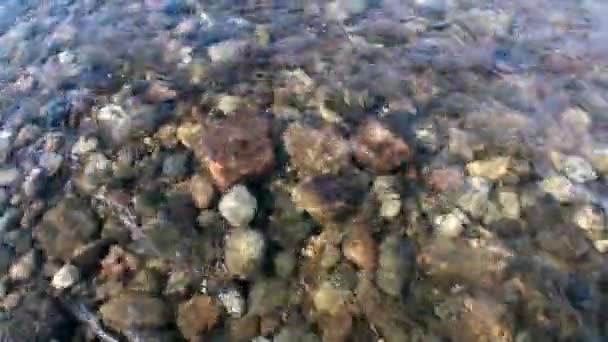 Rent vatten och sten botten på våren i berget floden Temnik. — Stockvideo
