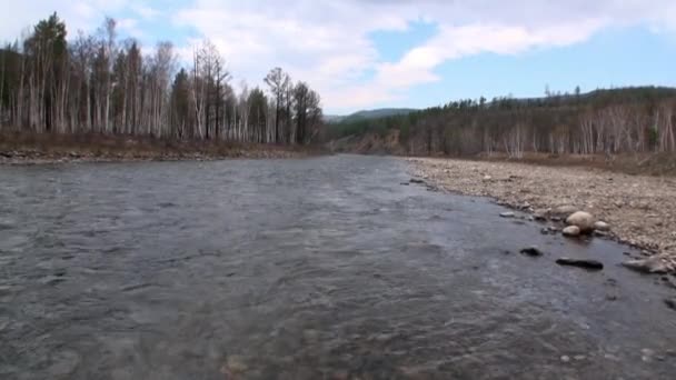 Sauberes Wasser und steinerner Felsgrund im Frühling im Gebirgsfluss Temnik. — Stockvideo