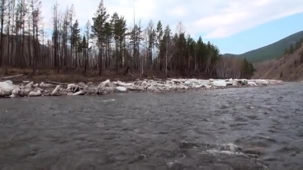 Gebirgsfluss Temnik an der Grenze des staatlichen Naturbiosphärenreservats Baikal. — Stockvideo