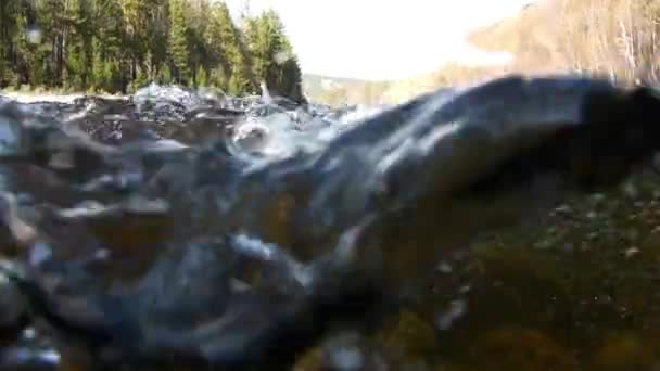 Dépose de l'eau sur la caméra vidéo dans la rivière de montagne Temnik en Sibérie de la Russie. — Video